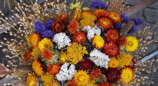 Herbstmarkt (Foto: Stadtverwaltung Mühlhausen) Herbstmarkt (Foto: Stadtverwaltung Mühlhausen)