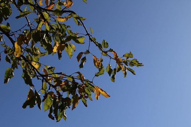 Wetterbild (Foto: Angelo Glashagel) Wetterbild (Foto: Angelo Glashagel)