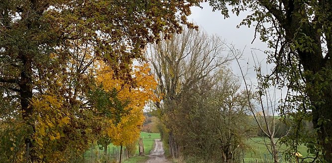 wetter (Foto: oas) wetter (Foto: oas)