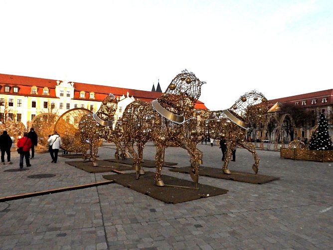 Installation vor dem Magdeburger Dom (Foto: Peter Blei)