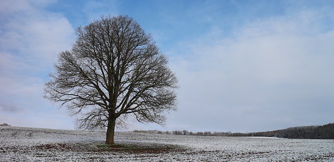wetter (Foto: AGL) wetter (Foto: AGL)