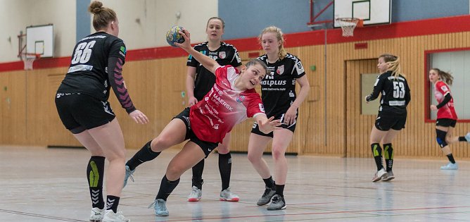 Handballspiel (Foto: Henry M&uuml;ller, Archiv)