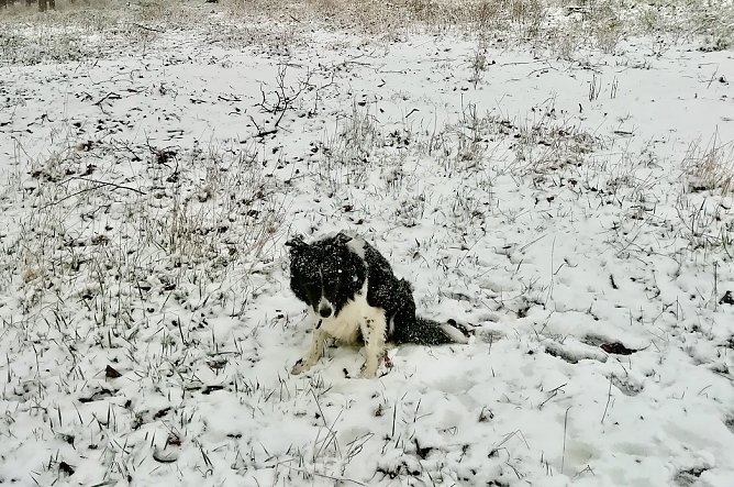 So sah es gestern bei Sophienhof aus (Foto: W. Jörgens) So sah es gestern bei Sophienhof aus (Foto: W. Jörgens)
