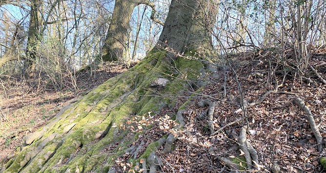 wetter (Foto: oas) wetter (Foto: oas)