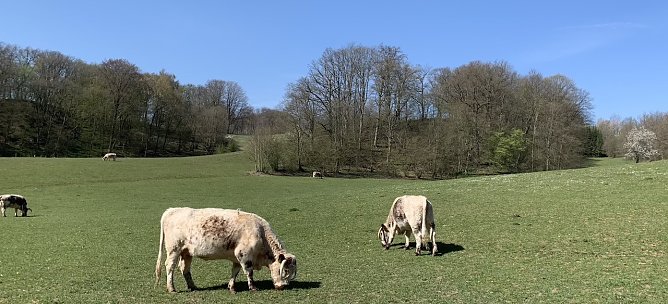 wetter (Foto: oas) wetter (Foto: oas)