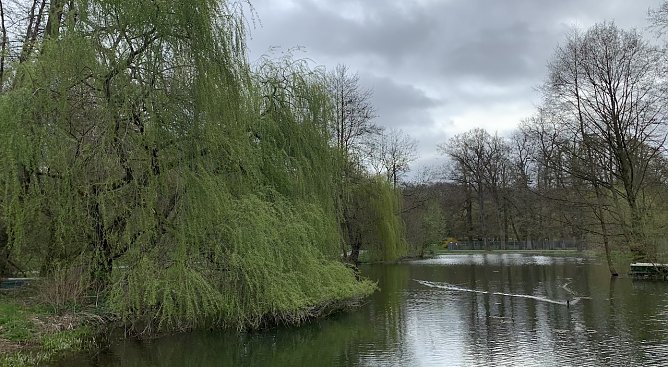 wetter (Foto: oas) wetter (Foto: oas)