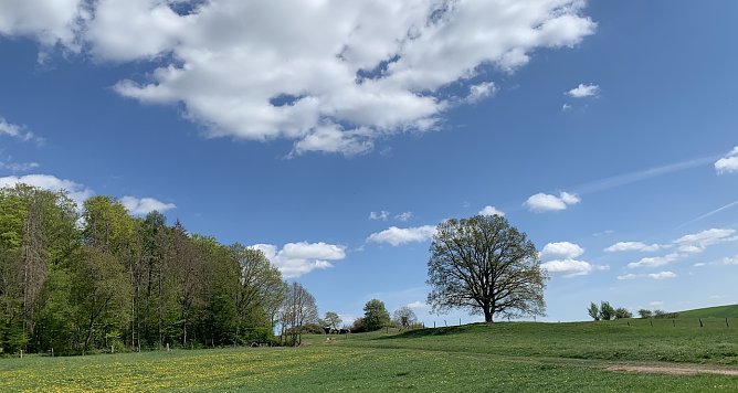 Wetter (Foto: oas) Wetter (Foto: oas)