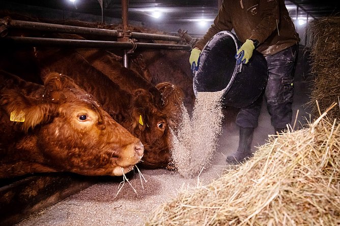 Arbeit auf dem Hof (Foto: Agrargewerkschaft IG Bau Nordthüringen) Arbeit auf dem Hof (Foto: Agrargewerkschaft IG Bau Nordthüringen)