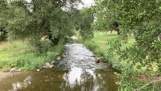 Zorgeufer bei Bilen (Foto: oas)