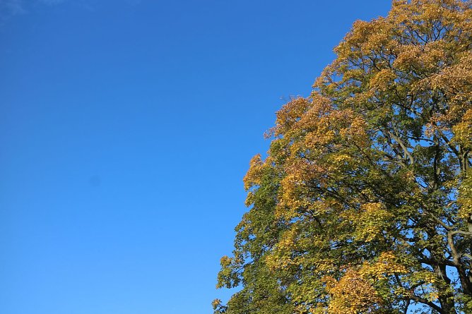 Wetterbild (Foto: agl)