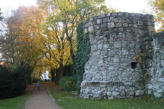 Wetterbild (Foto: agl)