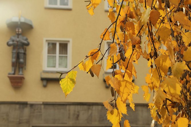 Wetterbild (Foto: agl)