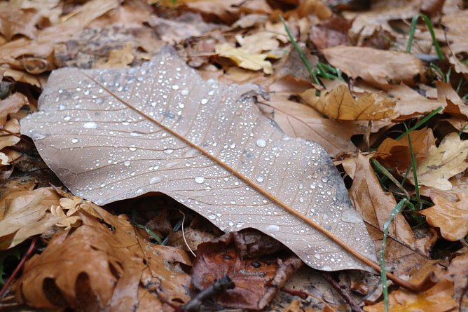 Wetterbild (Foto: agl)