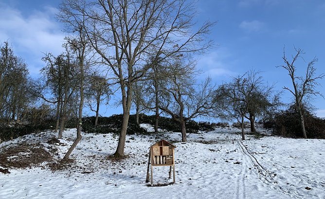 Insektenhotel in der Nordh&auml;user Windl&uuml;cke (Foto: oas)