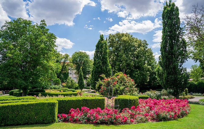  Der Rosengarten in voller Pracht (Foto:  &copy; Bildarchiv BUGA Erfurt 2021 gGmbH)