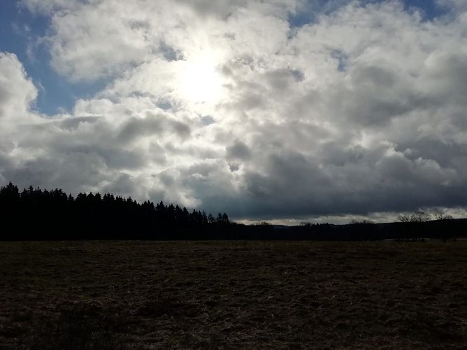 In Sophienhof schien am morgen noch die Sonne (Foto: W. J&ouml;rgens)