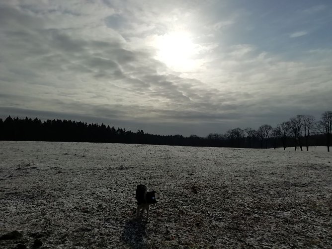 So sch&ouml;n war es heute in Sophienhof (Foto: W. J&ouml;rgens)