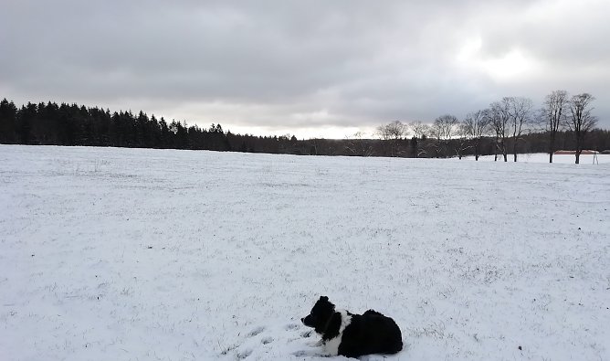Sophienhof heute morgen bei -3 Grad und 2 Zentimeter Neuschnee (Foto: W.Jörgens) Sophienhof heute morgen bei -3 Grad und 2 Zentimeter Neuschnee (Foto: W.Jörgens)