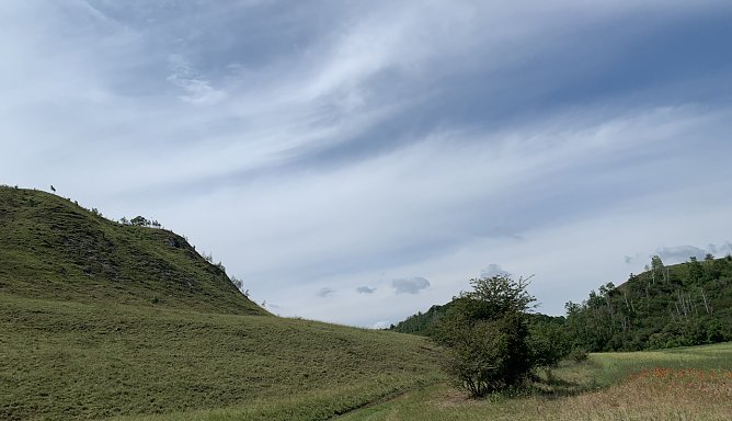 Bei Auleben am Stausee (Foto: oas)