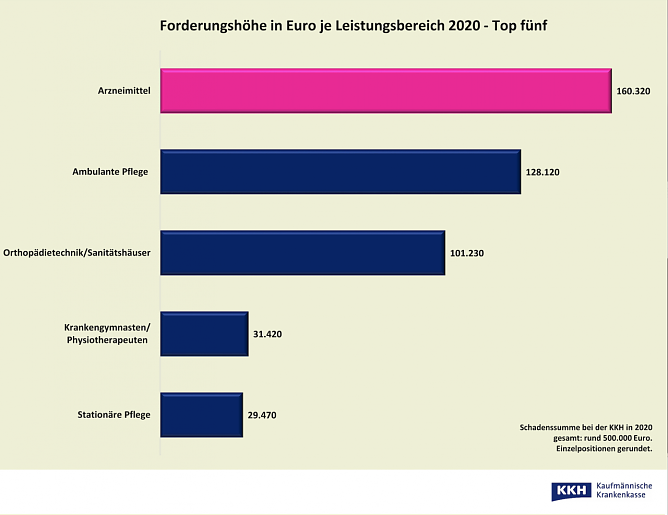 Forderungsh&ouml;he in Euro je Leistungsbereich (Foto: Kaufm&auml;nnische Krankenkasse KKH)