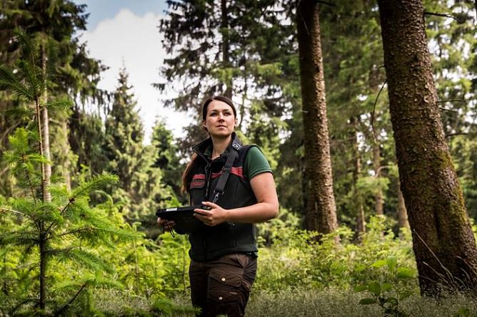 Eine Generation junger Forstleute sorgt f&uuml;r neue, klimaangepasste W&auml;lder im Harz. F&ouml;rsterin Victoria Witt begutachtet junge Douglasien und Erlen unter alten Fichten im Forstamt Clausthal (Foto:  Pressestelle Landesforsten)