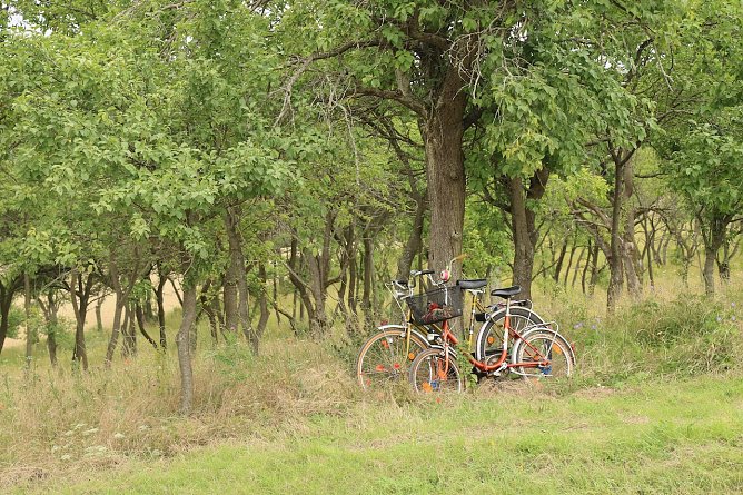 Wetterbild (Foto: agl) Wetterbild (Foto: agl)