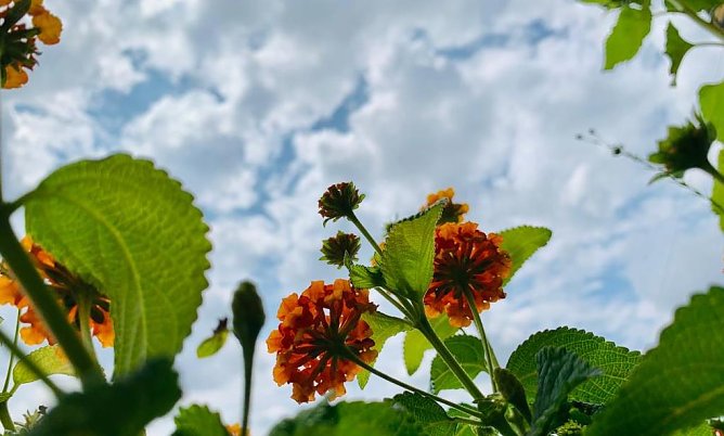 Wetter auf dem Balkon (Foto: emw)