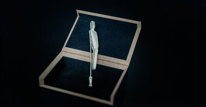 Die Ehrenamtsnadel (Foto: Mario Hochhaus)