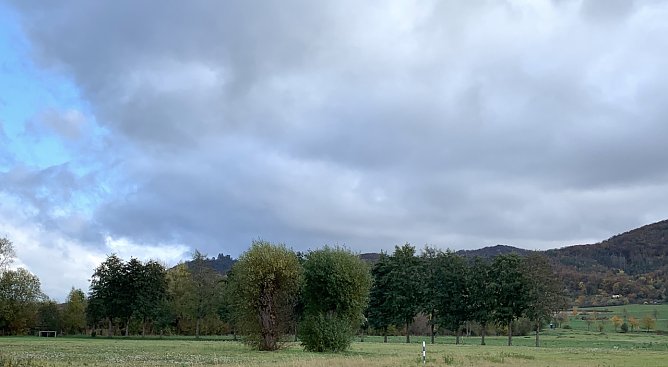 Am Kyffh&auml;user (Foto: oas)