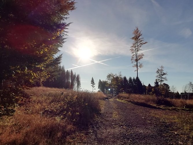 Sonnenstrahlen fallen ins schöne Sophienhof... (Foto: Wolfgang Jürgens) Sonnenstrahlen fallen ins schöne Sophienhof... (Foto: Wolfgang Jürgens)