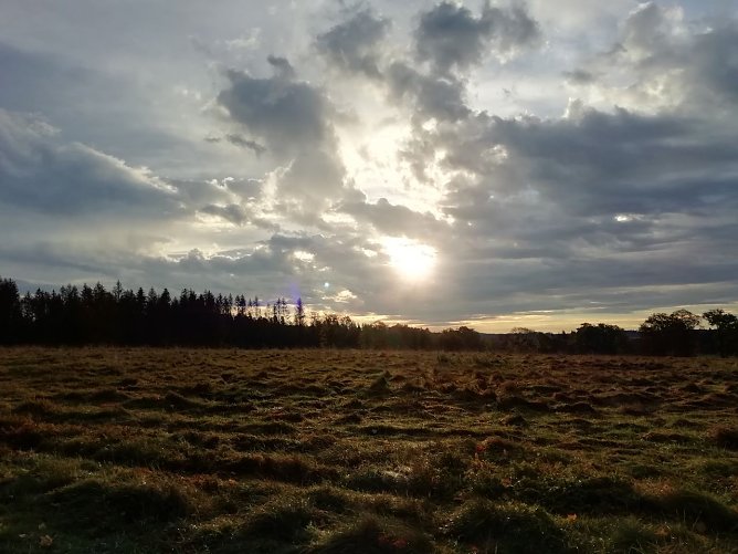 Bei Sophienhof beglückte uns der Herbst heute morgen noch mit Sonnenschein (Foto: W. Jörgens) Bei Sophienhof beglückte uns der Herbst heute morgen noch mit Sonnenschein (Foto: W. Jörgens)