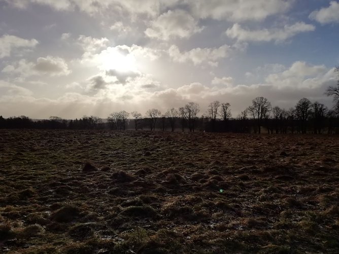 Das Wetter um 9 Uhr in Sophienhof: Null Grad, starker Wind und Sonne. Stra&szlig;en sind momentan frei. (Foto: W. J&ouml;rgens)