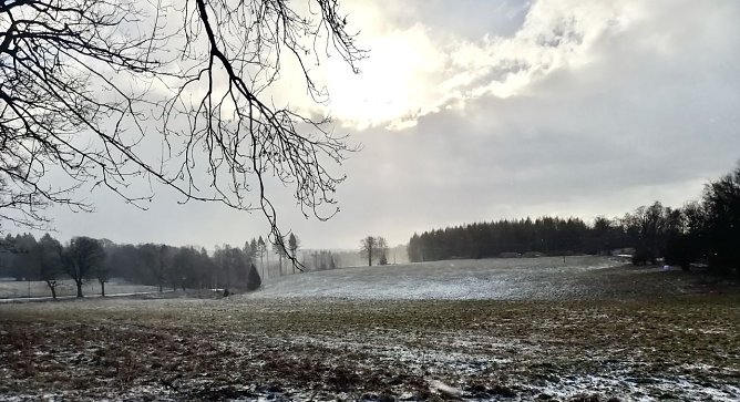 Bei null Grad, starkem Wind und Schneegriesel war Herr J&ouml;rgens aus Sophienhof heute morgen an der frischen Luft und hat dieses Bild mitgebracht (Foto: W. J&ouml;rgens)