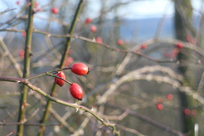Wetterbild (Foto: agl)