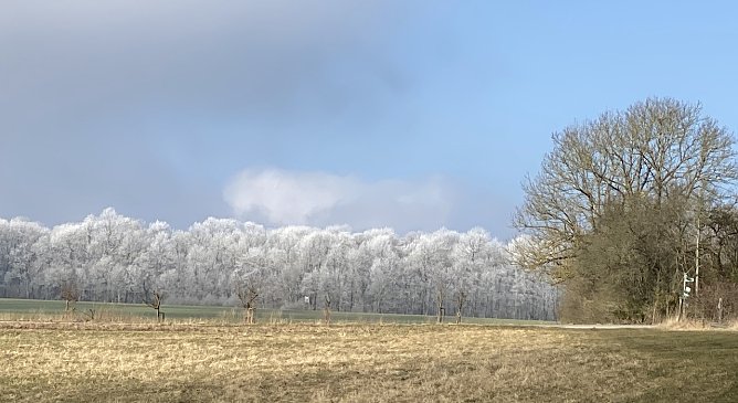 Nachts bleibt's frostig, tagsüber schön (Foto: oas) Nachts bleibt's frostig, tagsüber schön (Foto: oas)