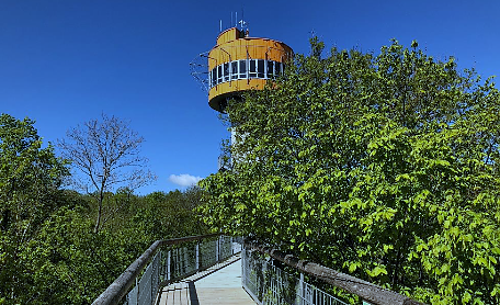 Der Baumkronenpfad im UNESCO-Weltnaturerbe Nationalpark Hainich startet in die Saison (Foto: KTL)