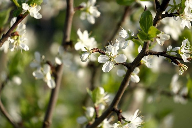 Wetterbild (Foto: Peter Blei) Wetterbild (Foto: Peter Blei)