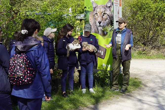Schulklasse im Wildkatzendorf (Foto: Nancy Schnitter)