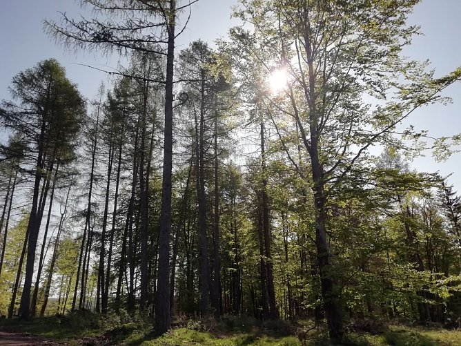 Auch auf  dem Berge gr&uuml;net Hoffnungsgl&uuml;ck - das Wetter zeigt sich in Sophienhof heute von seiner sch&ouml;nen Seite (Foto: W. J&ouml;rgens)
