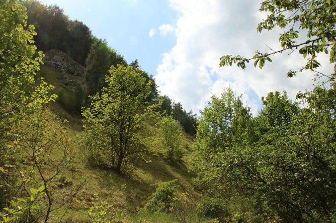 Wetterbild (Foto: agl) Wetterbild (Foto: agl)