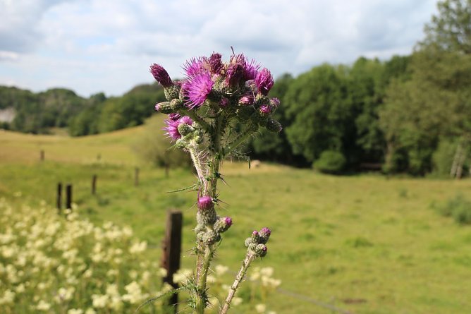 Wetterbild (Foto: agl) Wetterbild (Foto: agl)