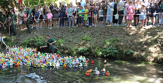 Der Moment des Starts des diesj&auml;hrigen Entenrennens. Das Starterfeld wird begeistert angefeuert. (Foto: oas)