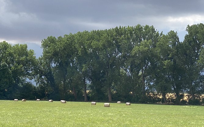 Die Wetteerstimmung bleibt gewittrig (Foto: oas)