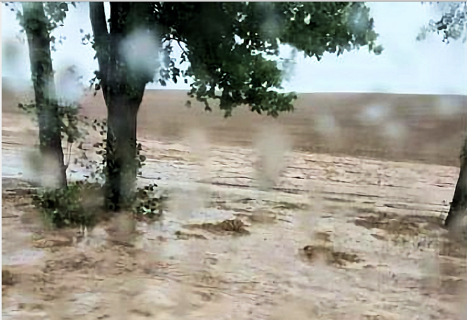 Starke Regenf&auml;lle gab es gestern auch in Nordhausen (Foto: privat)