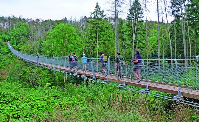 Teilnehmende auf der H&auml;ngeseilbr&uuml;cke in der Hohe Schrecke (Foto: Hans Sch&ouml;newolf)
