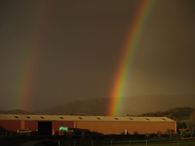 Dieser sch&ouml;ne Schnappschuss gelang Bernd Thielbeer gestern in Niedersachswerfen (Foto: Bernd Thielbeer)