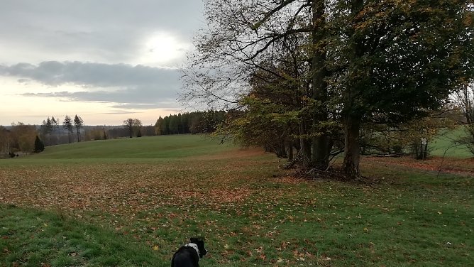 Sophienhof vermeldete heute Morgen frische 3 Grad Celsius. (Foto: W.J&ouml;rgens)