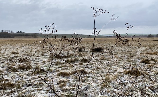 Nachtfr&ouml;ste und leichter Schneefall zum Wochenende (Foto: oas)