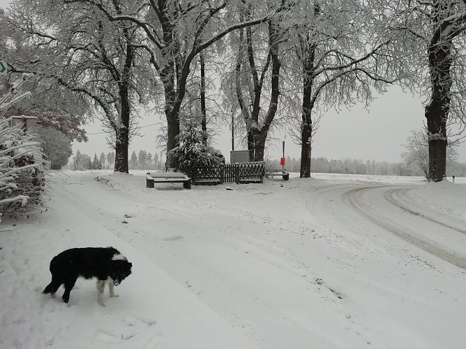 Frostig und schneebedeckt zeigt sich auch der Morgen in Sophienhof (Foto: W. J&ouml;rgens)