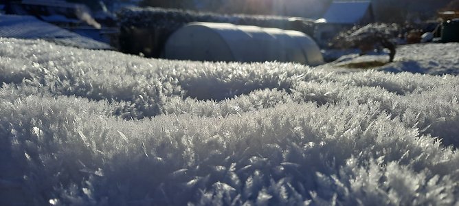 Momentaufnahme aus Bleicherode (Foto: Michael Nadolny)